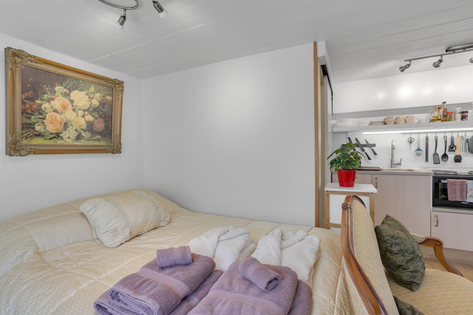 Lara Studio: Laugardalur Valley Retreat with Private Entrance and Parking Reykjavik Exterior photo